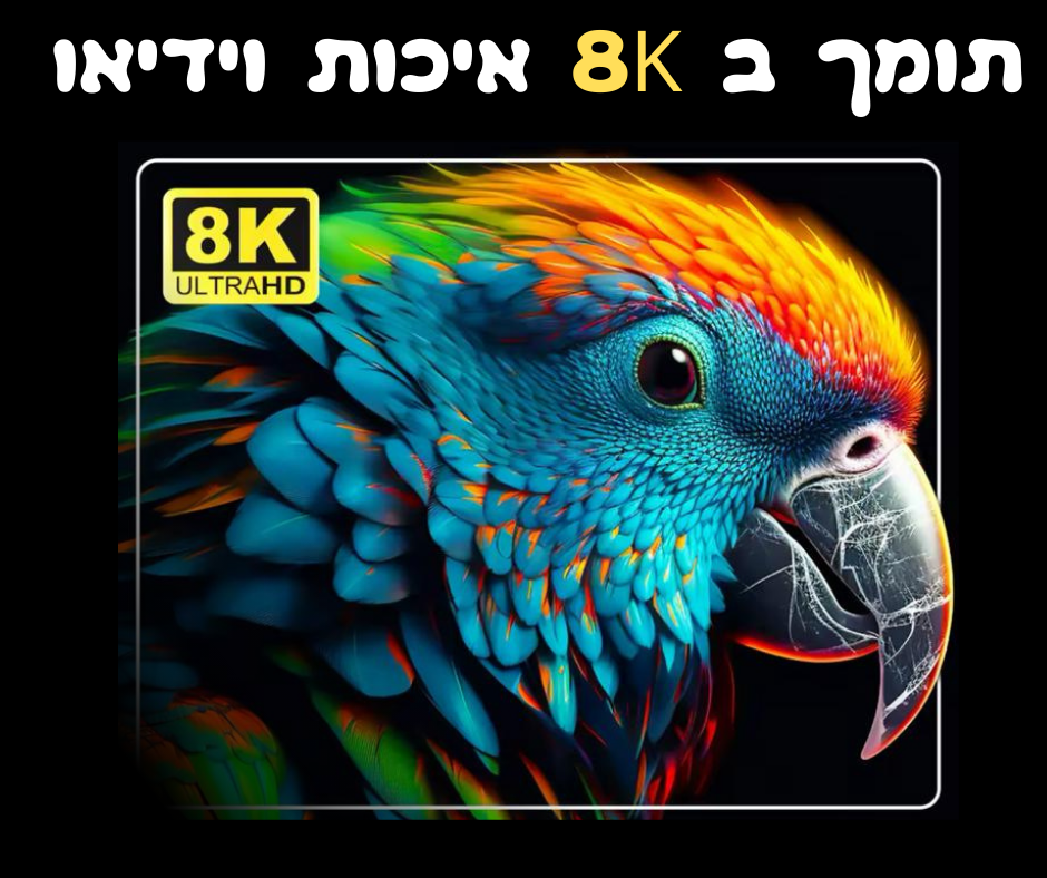 אנדרואיד TV | 8K תומך ב